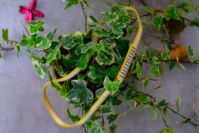 10mm特多強拉力登山繩--黃白雙色