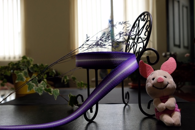 1英寸特多紫漸層